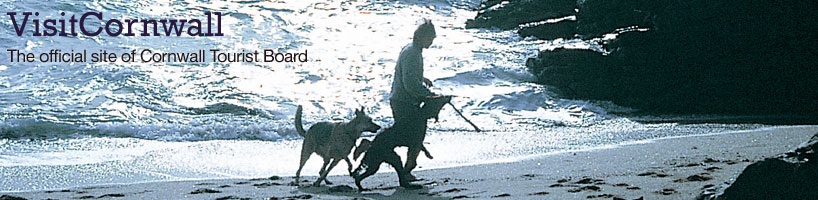 Winter Walkies Â© Dawn Runnals/VisitCornwall